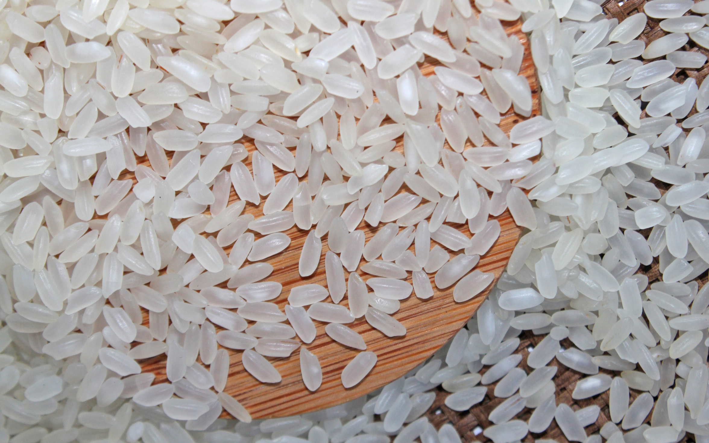 Calrose Rice | Medium Grain Rice